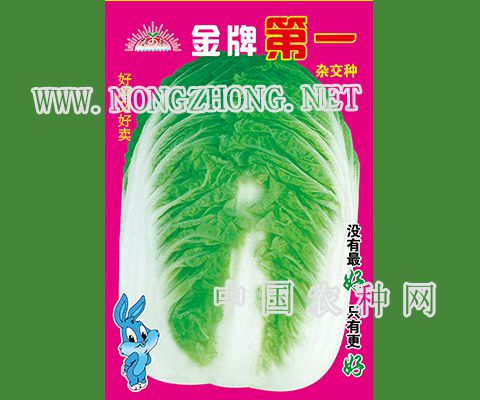 金牌第一